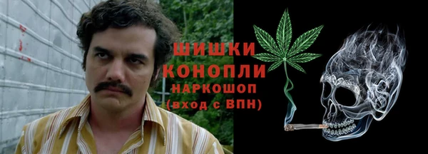 стаф Абинск