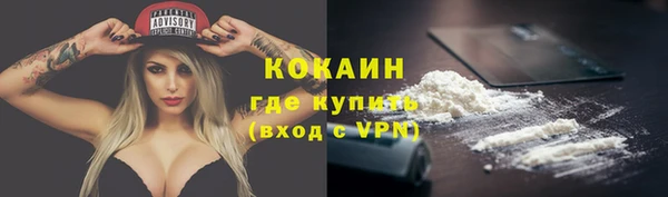 стаф Абинск